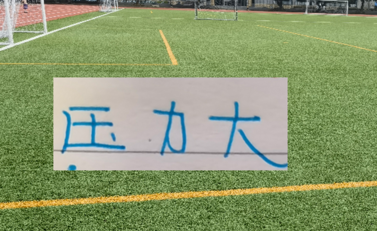 开云体育登录-冰火两重天！四大澳洲教头 浙江跟北京国安主帅不好过 谁会先下课